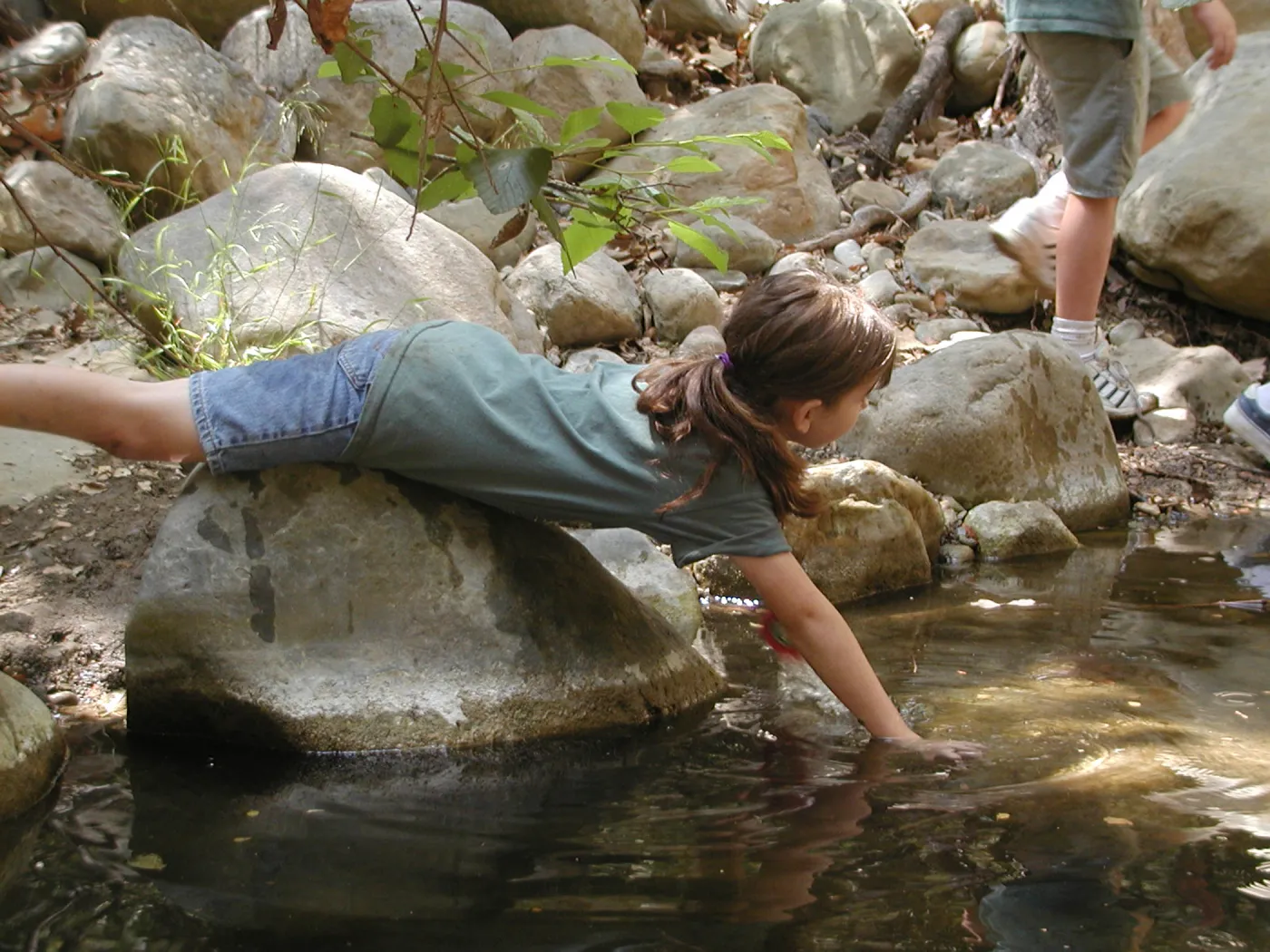 kids, exploring life in Mission Creek, SBBG Summer Nature Camp, 2002