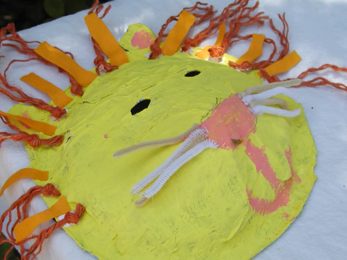 painted animal masks, SBBG Summer Nature Camp, 2002