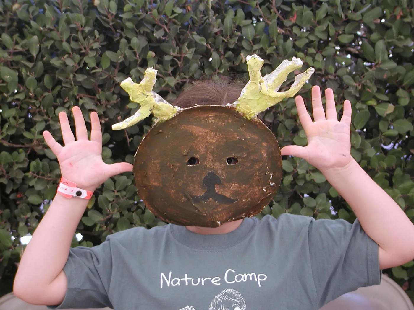 painted animal masks, SBBG Summer Nature Camp, 2002
