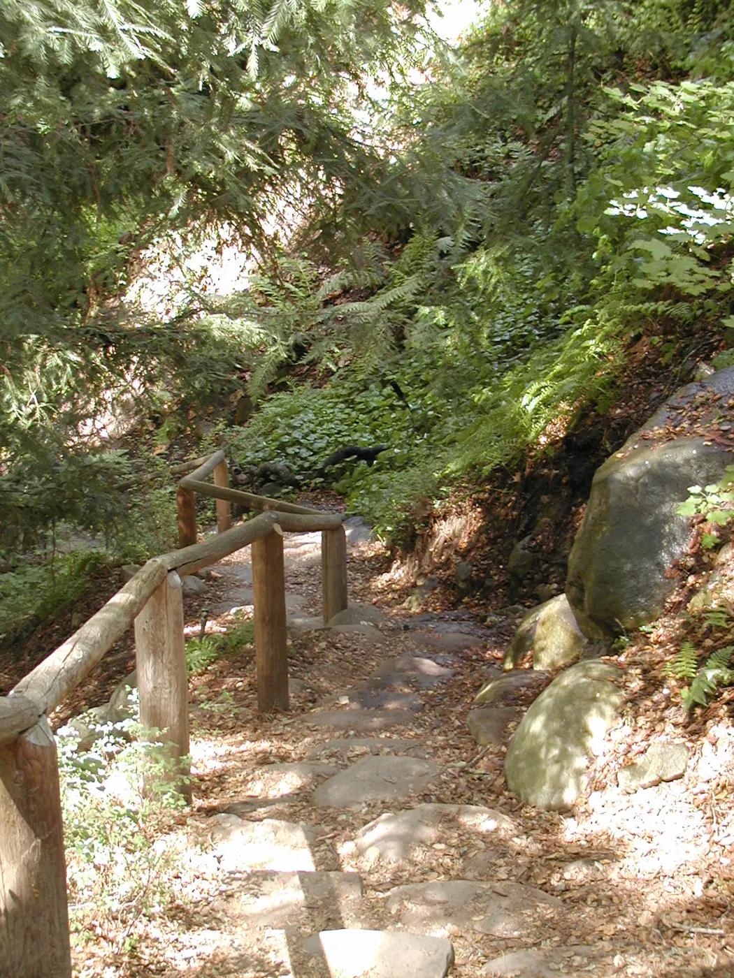 Indian Steps, SBBG