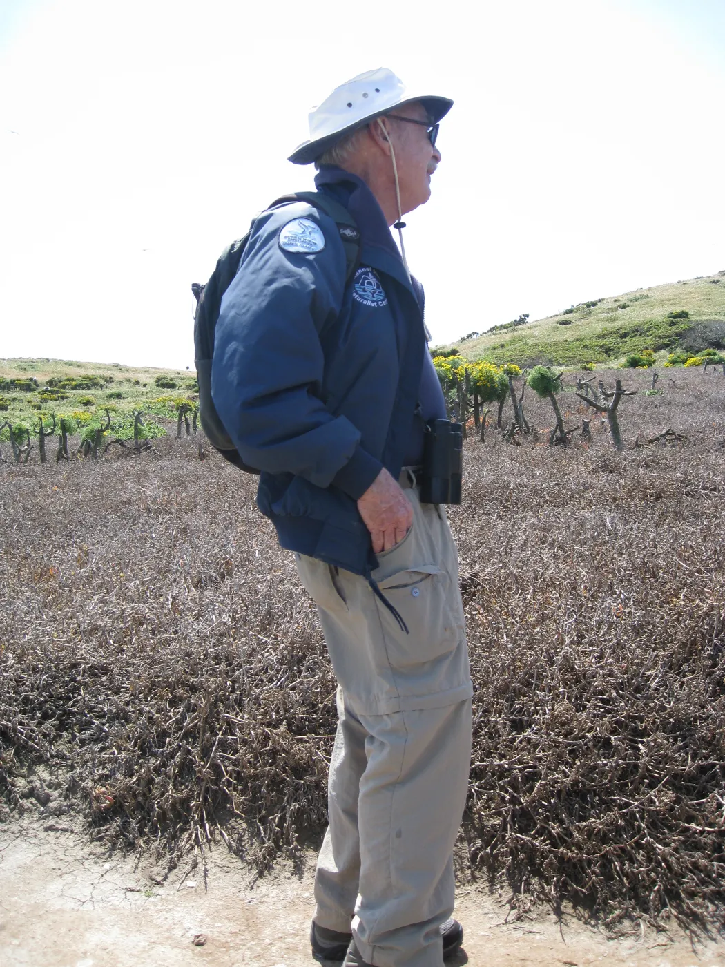 Anacapa Island