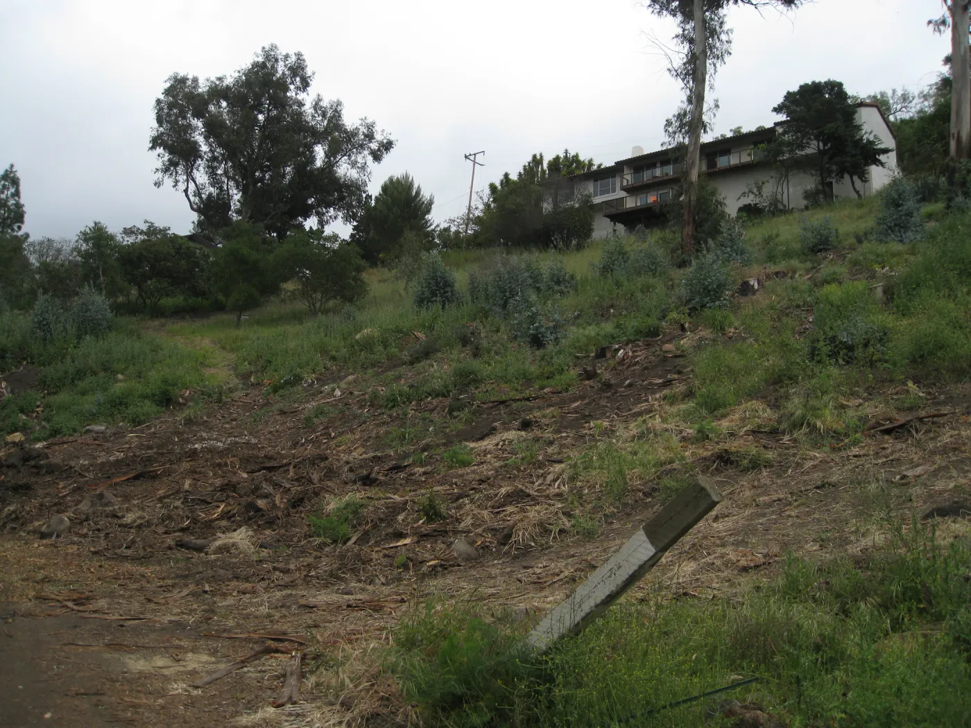 Van Schack property after Eucalyptus log removal