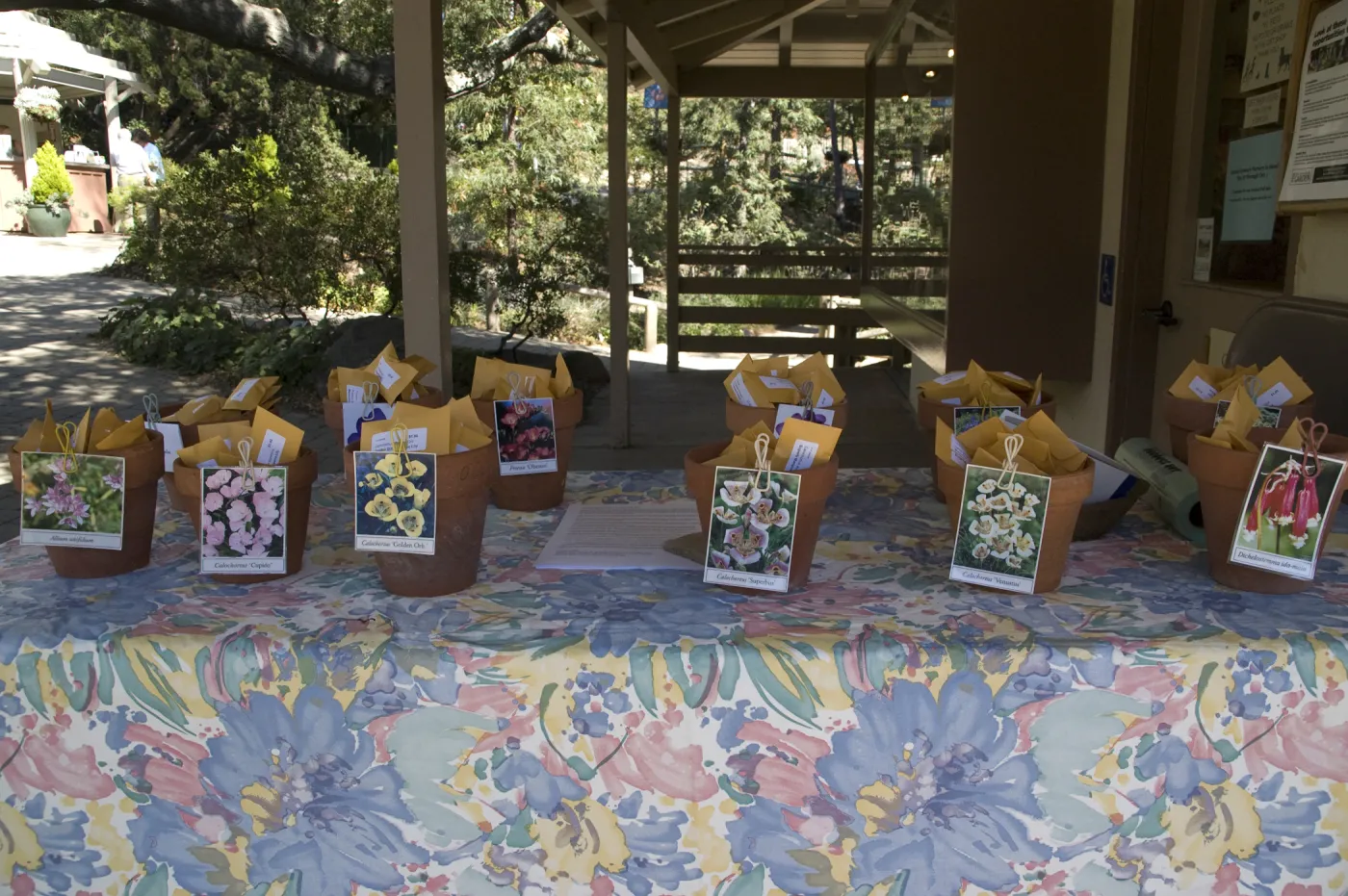 native California bulb packets, SBBG Fall Plant Sale, 2010