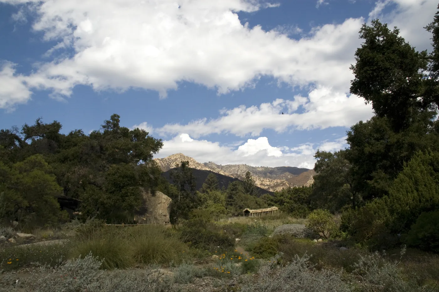 meadow and mountain view from the Entrance oak, clouds, Herb Parker exhibit, 2010
