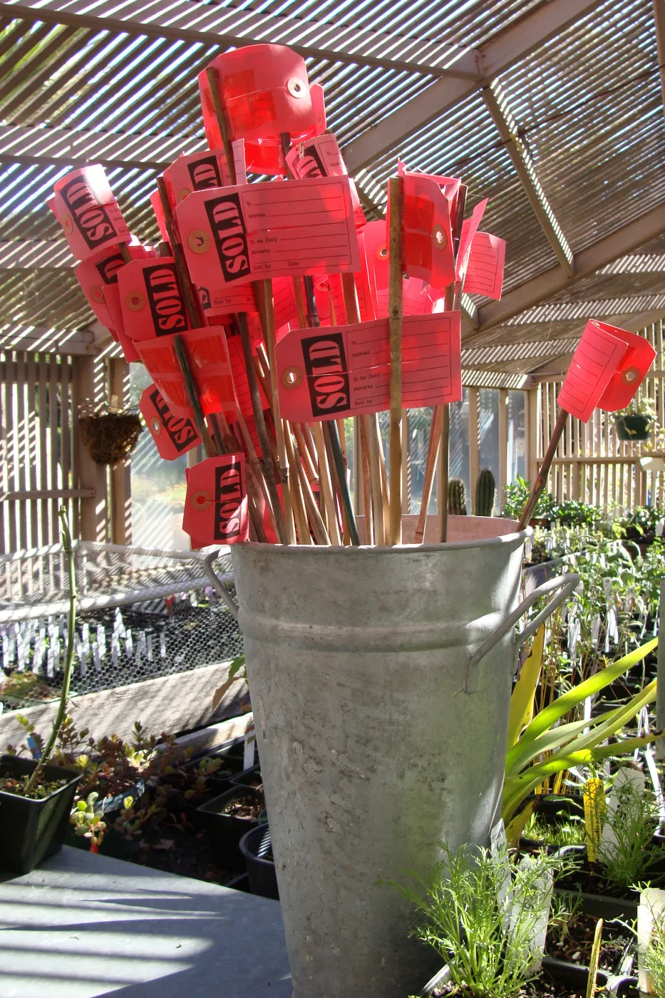 SBBG, Spring Plant Sale 2011, bucket with SOLD tags