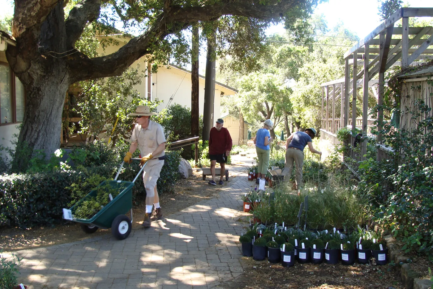 SBBG staff and volunteers prepare for the Spring Plant Sale, 2011