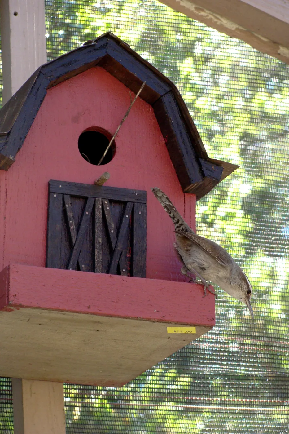 SBBG, Spring Plant Sale 2011, birds nesting in the Garden Growers Nursery bird house