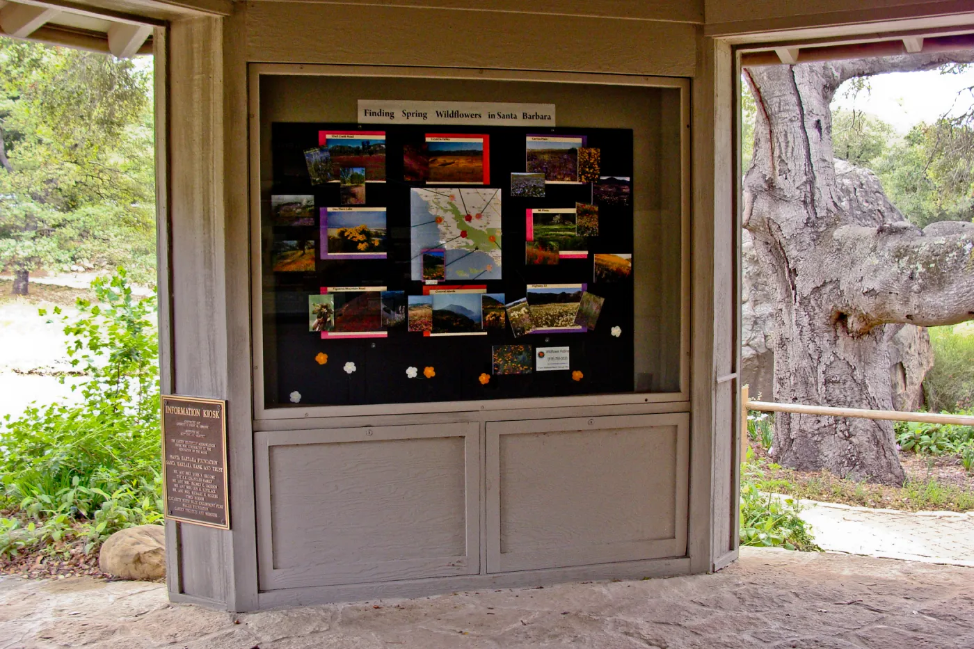 2011 'Finding Spring Wildflowers in Santa Barbara', Information Kiosk window display