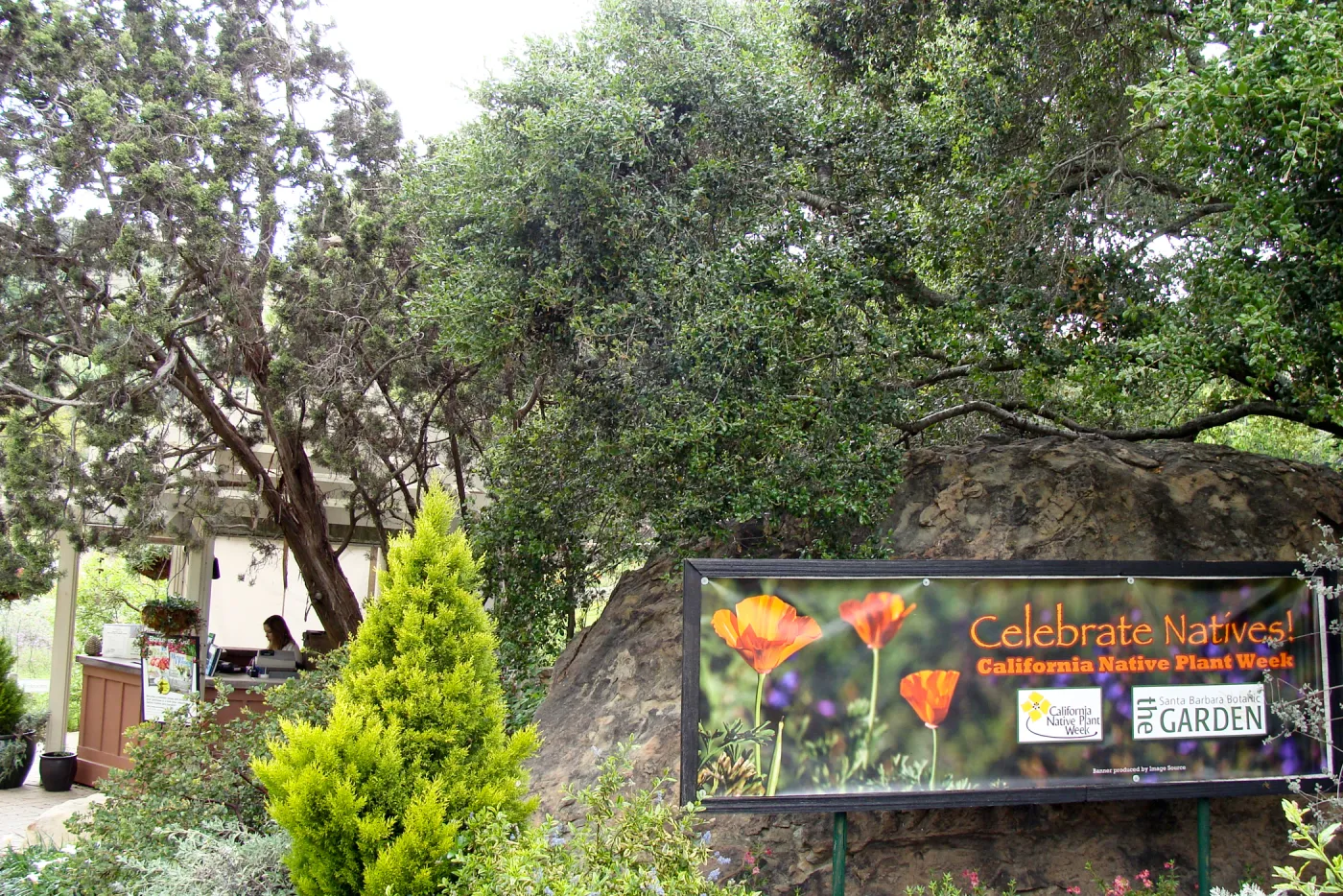 'Celebrate Natives, California Native Plant Week', 2011, banner at Garden Entrance boulders