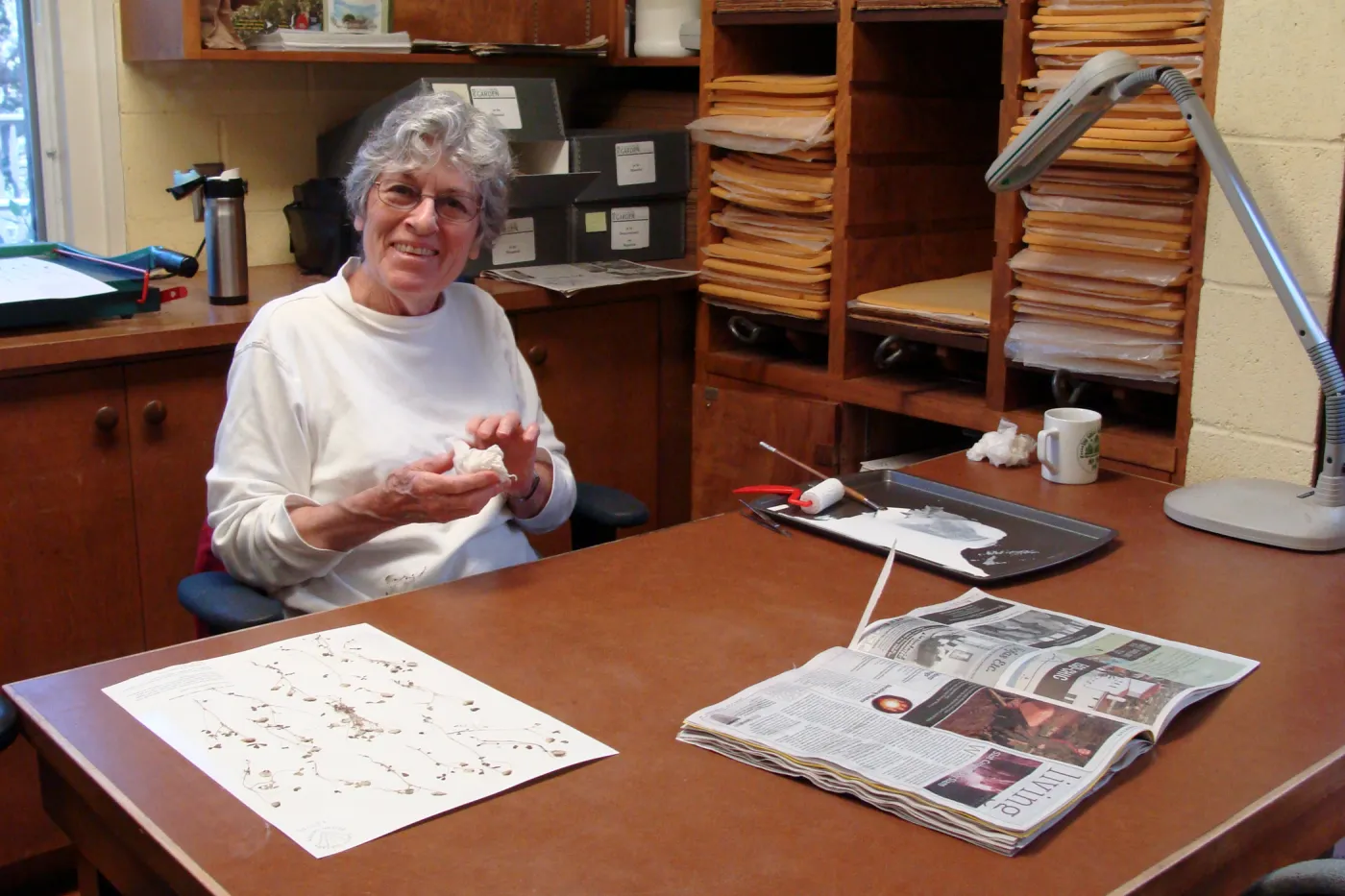 Ky Easton, SBBG Hernarium volunteer, mounting herbarium specimens, 2011