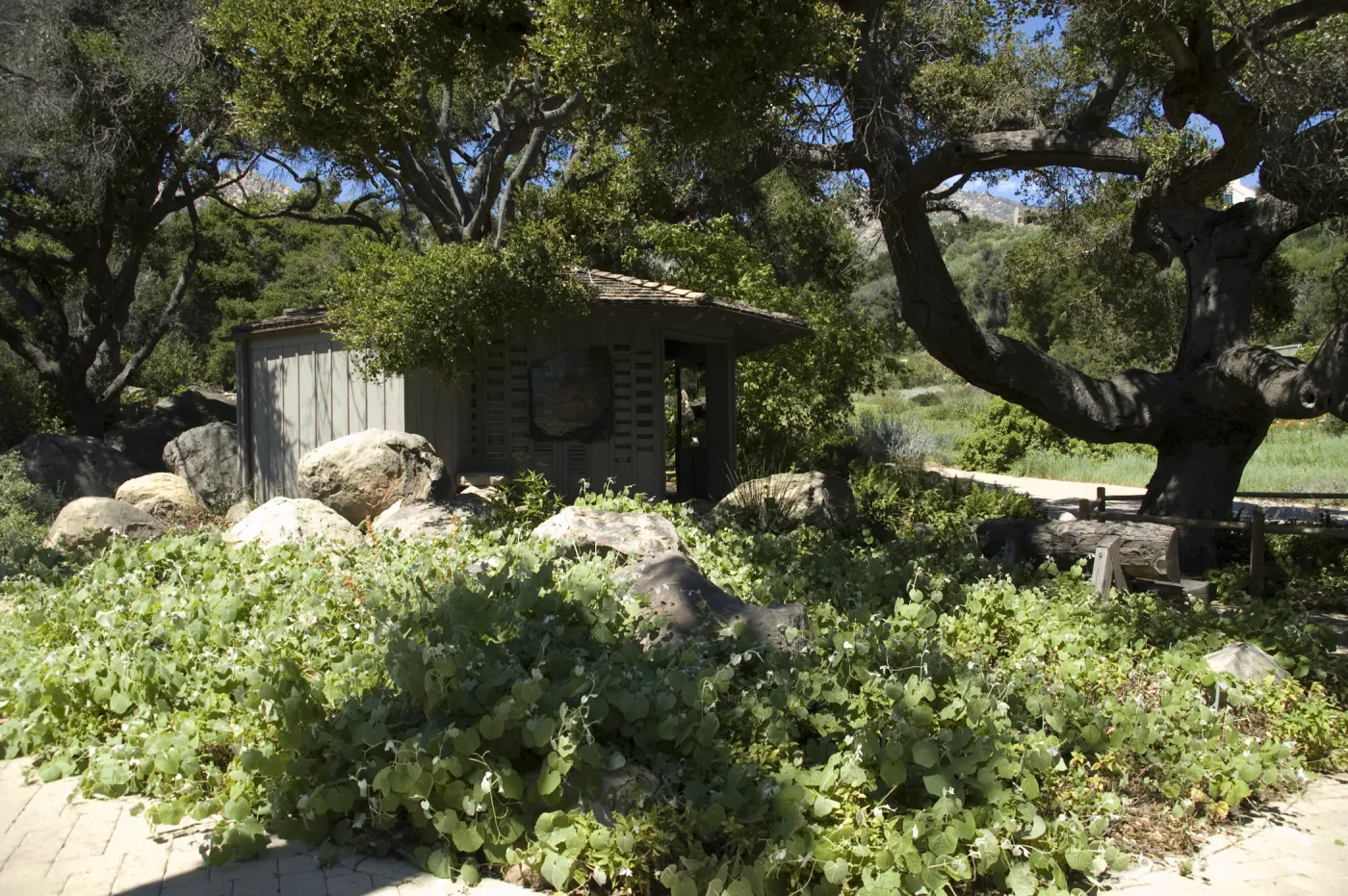 Information Kiosk, SBBG, 2 years after the Jesusita Fire