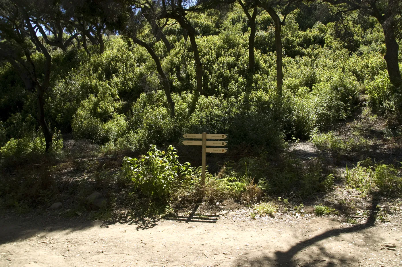 directional signage along the Canyon Trail, SBBG, 2 years after the Jesusita Fire