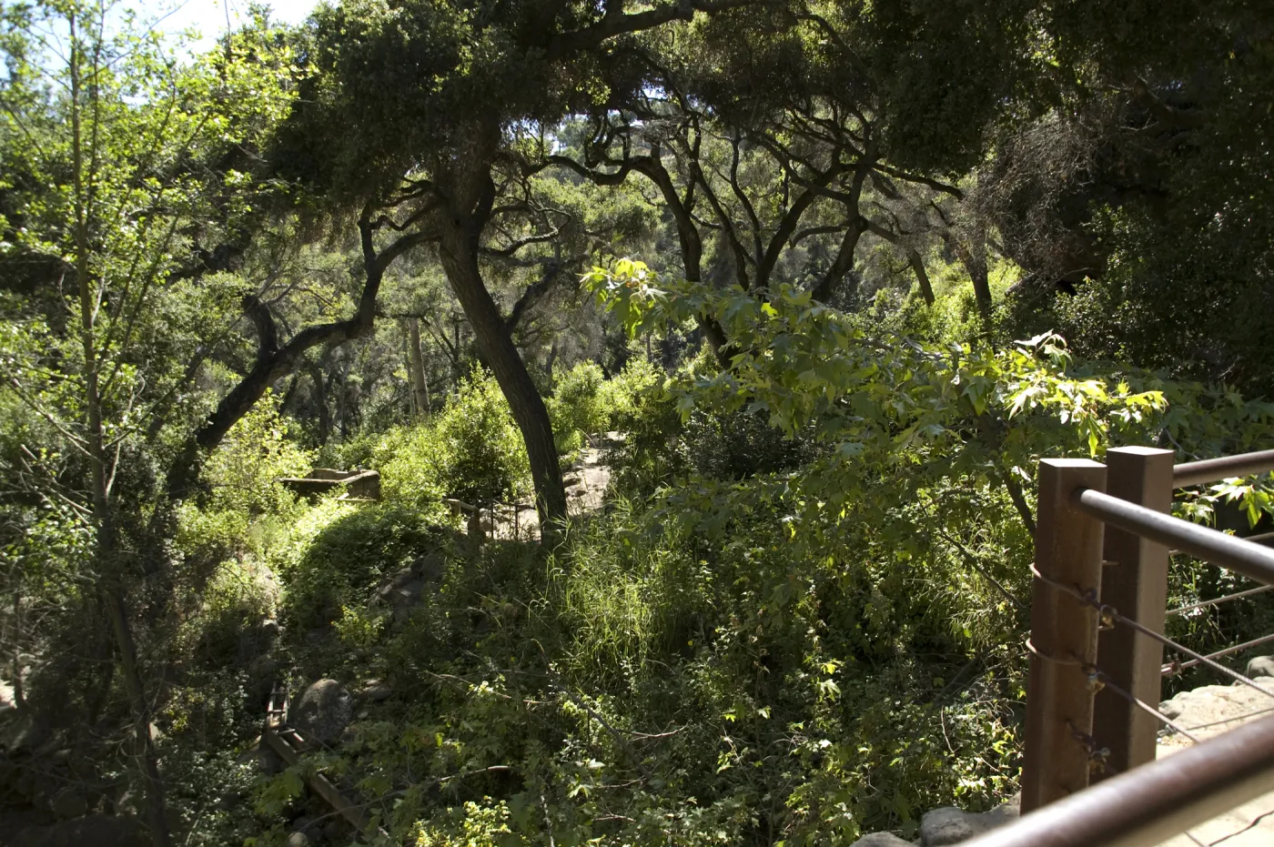 top of Mission Dam, SBBG, 2 years after the Jesusita Fire
