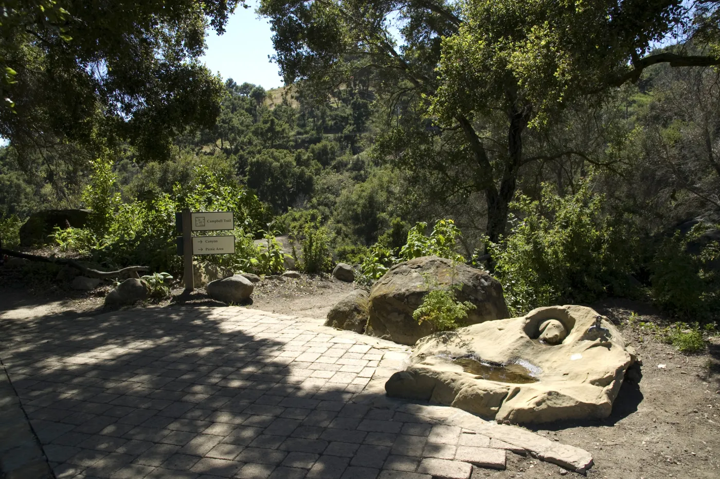 dog fountain, dog water basin, Meadow Oaks, top of Campbell Trail staircase at the canyon rim, SBBG, 2 years after the Jesusita Fire