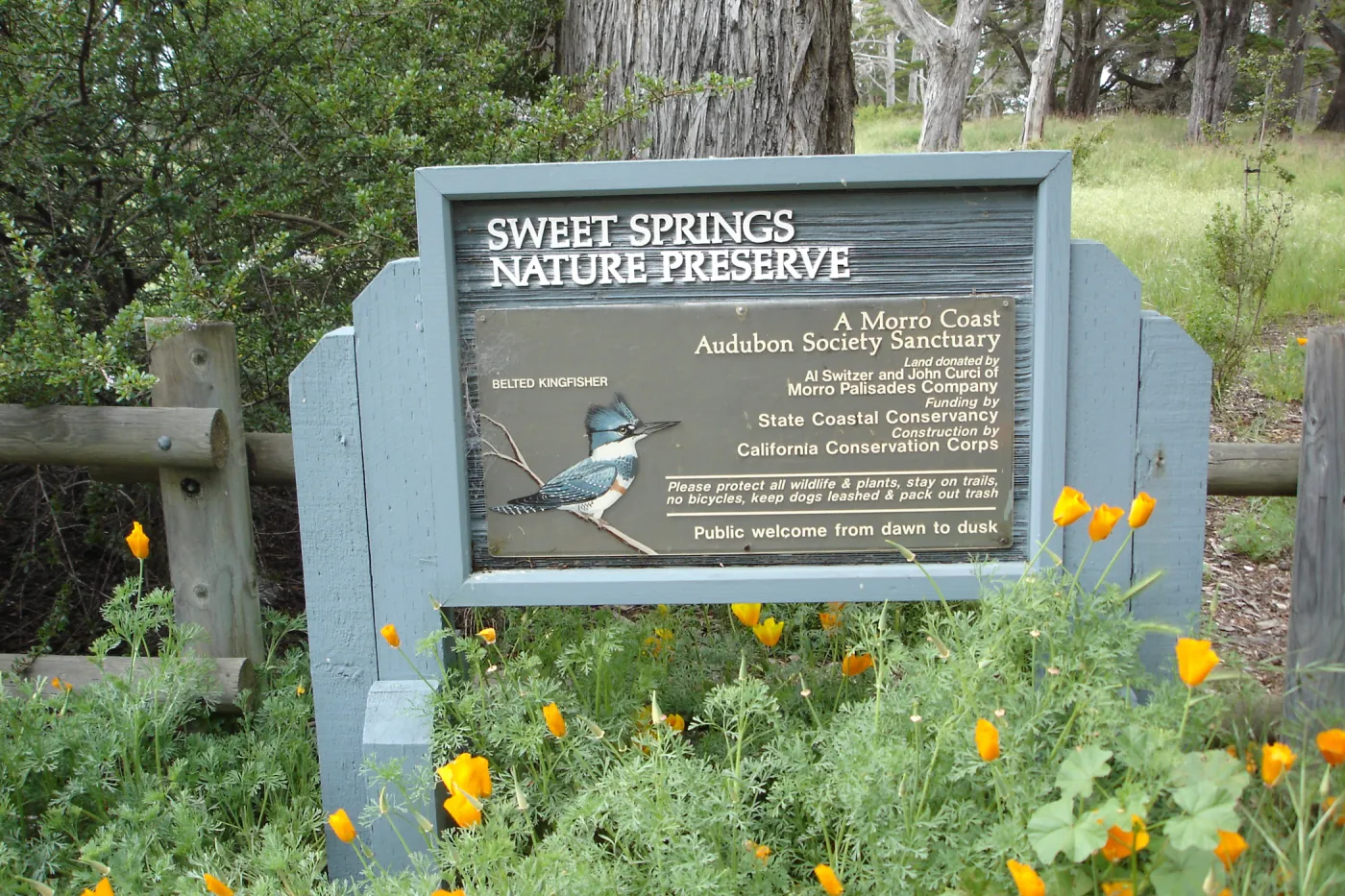 SBBG Research and Conservation Department fieldtrip, Sweet Springs Nature Preserve, Arenaria paludicola recovery population