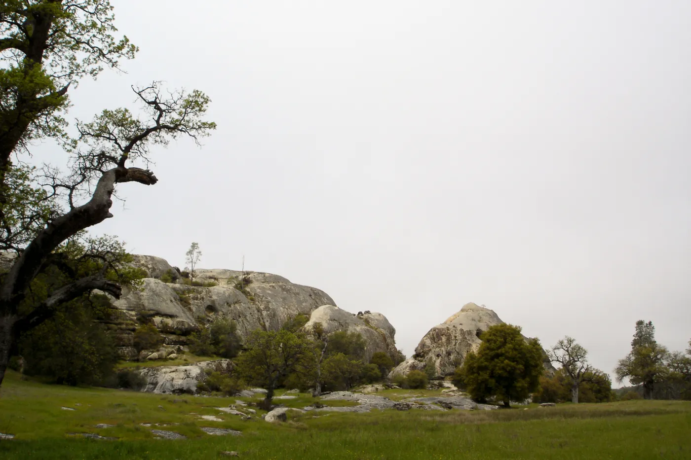 Wagon Caves rock shelter, Fort Hunter Liggett, SBBG Research and Conservation staff field trip, 2006