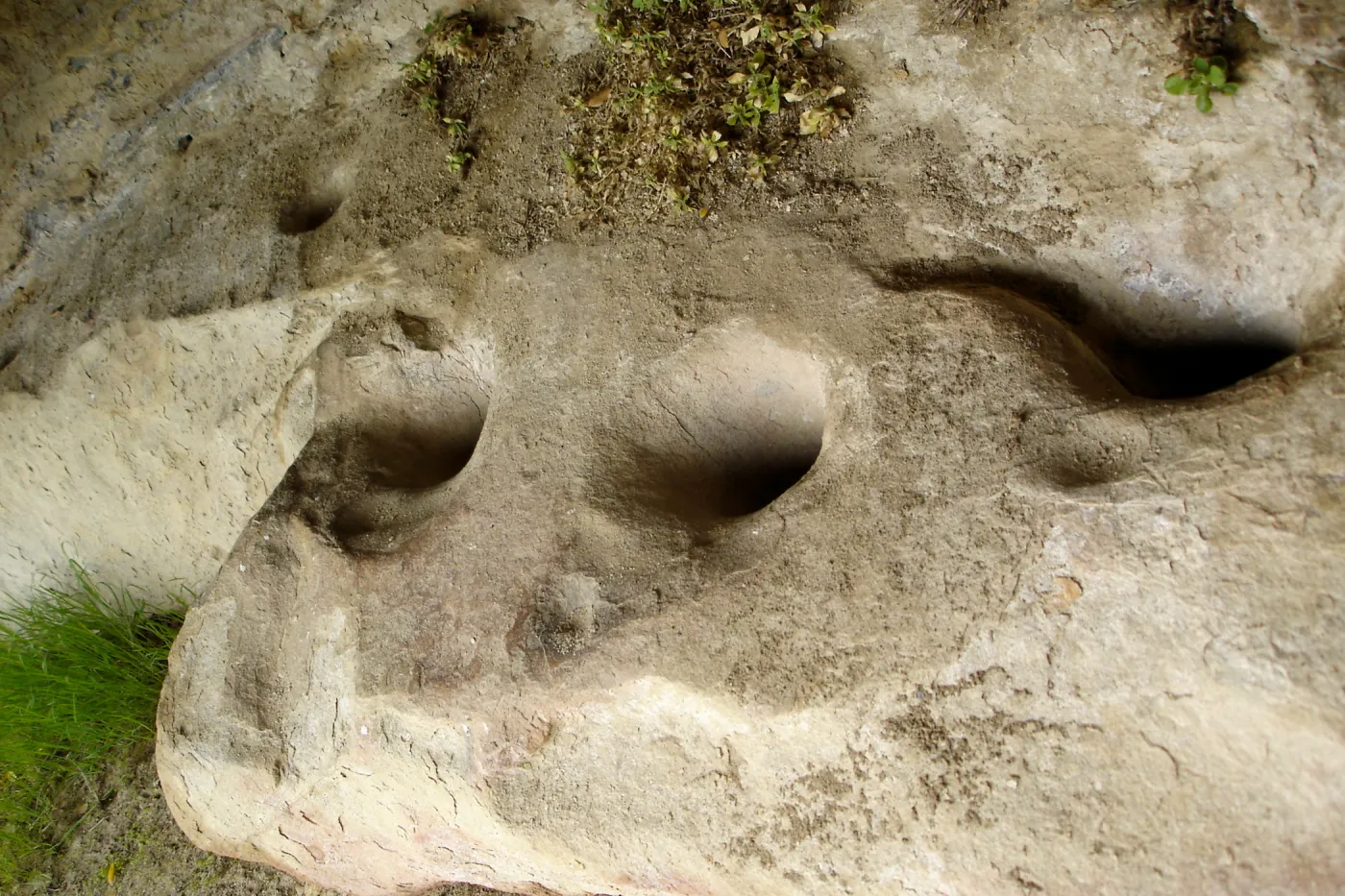 Wagon Caves rock shelter, Fort Hunter Liggett, SBBG Research and Conservation staff field trip, 2006
