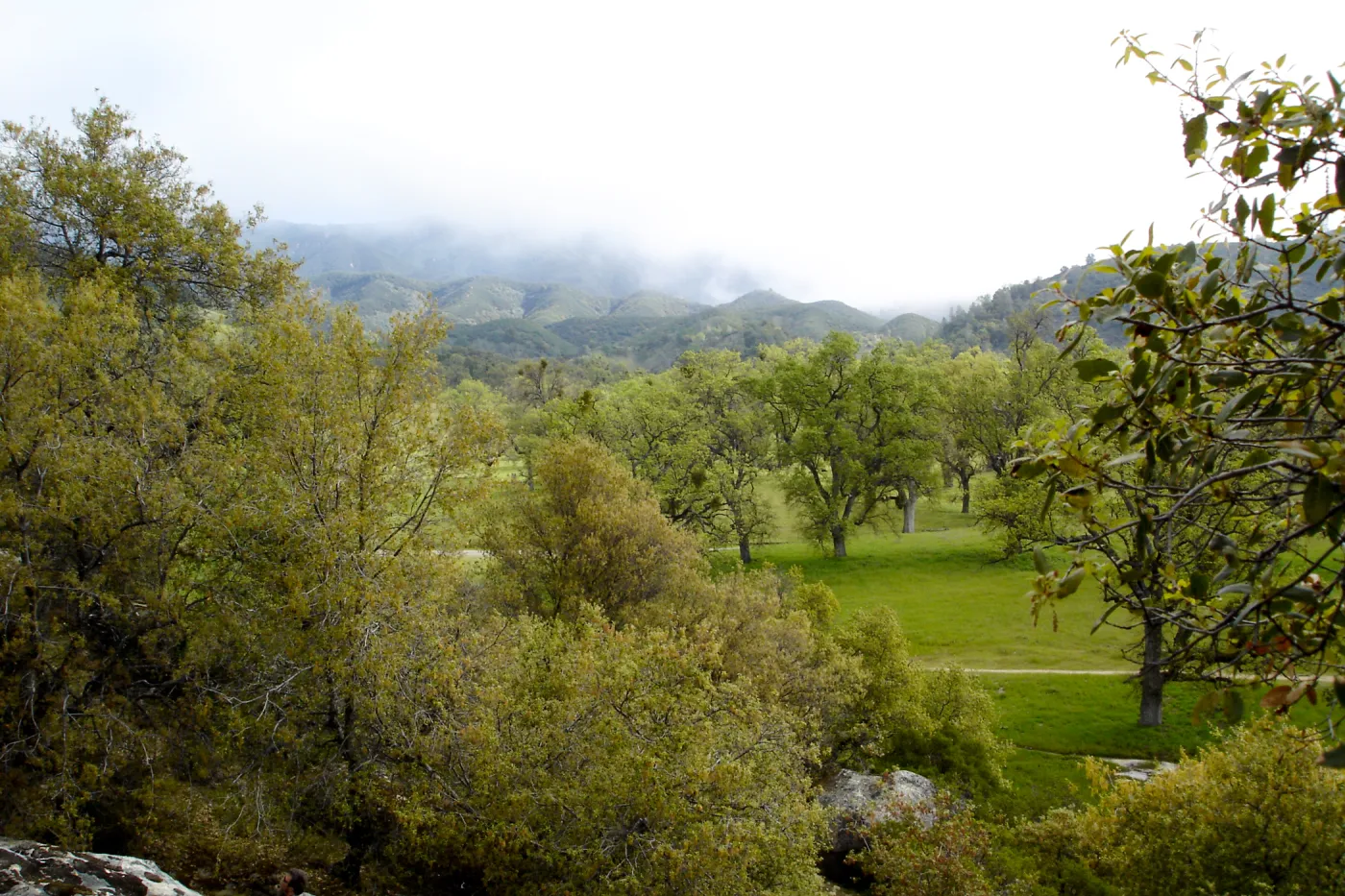 oak woodland, view from top of Wagon Caves rock shelter, Fort Hunter Liggett, SBBG Research and Conservation staff field trip, 2006