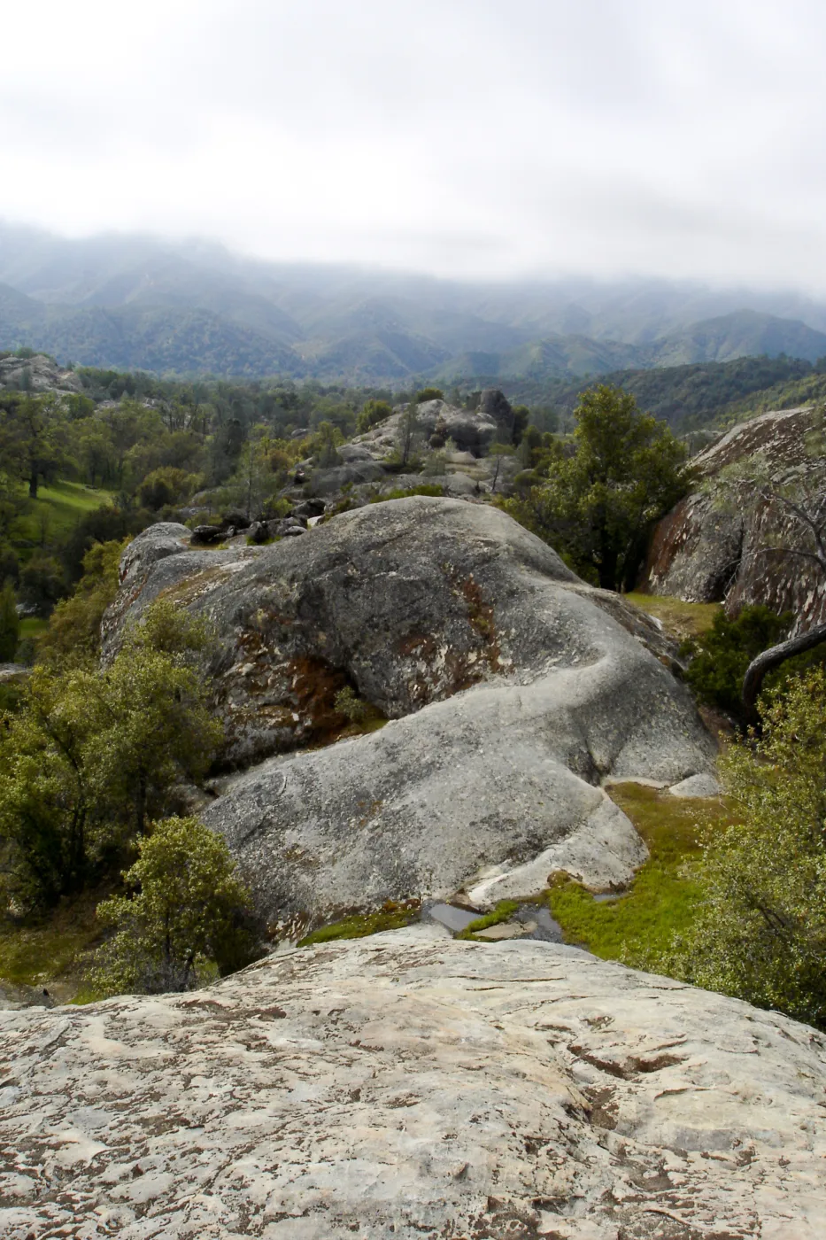 view from top of Wagon Caves rock shelter, Fort Hunter Liggett, SBBG Research and Conservation staff field trip, 2006