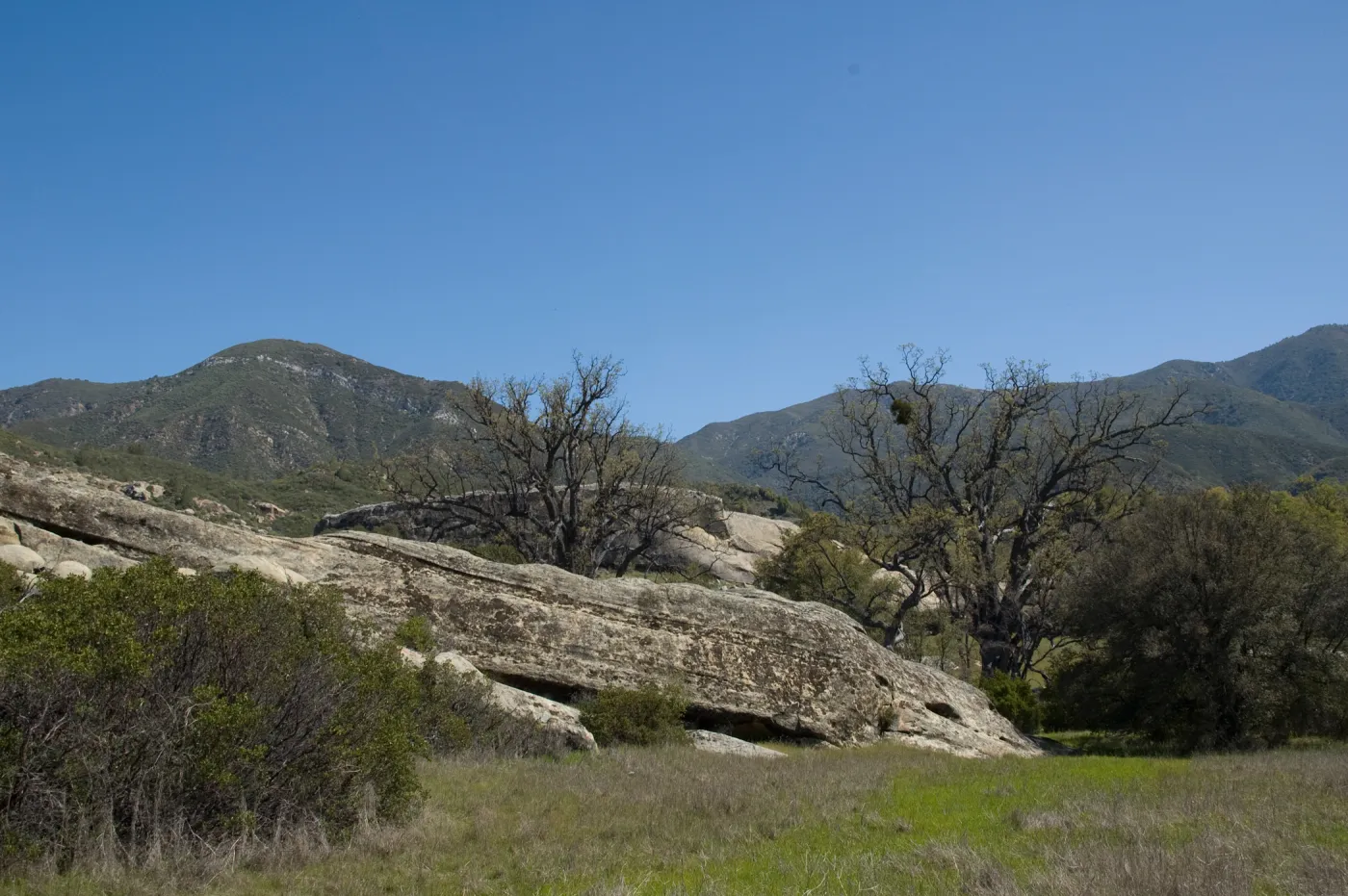 Santa Lucia Mountains, SBBG Research and Conservation staff field trip, Fort Hunter Liggett
