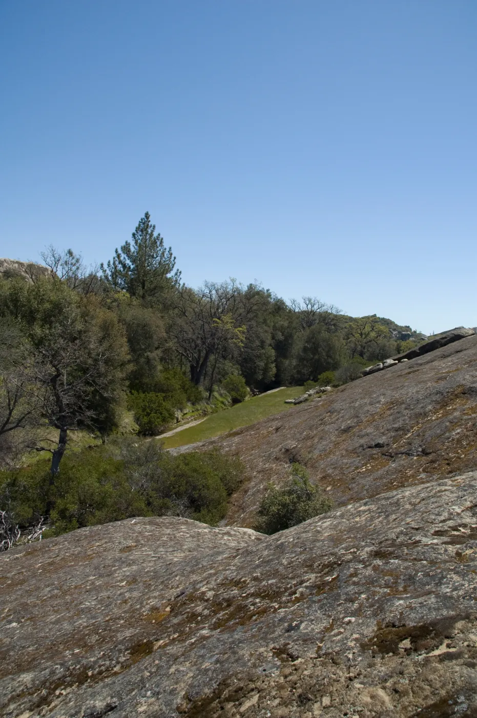 Santa Lucia Mountains, Fort Hunter Liggett, SBBG Research and Conservation staff field trip, 2006