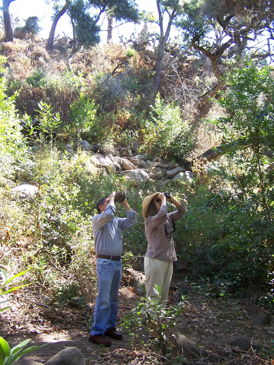 SBBG Community Free Day, visitors exploring the Canyon Trail, birdwatching with binoculars