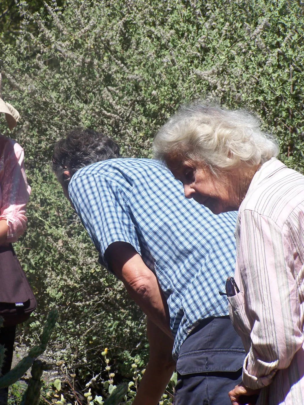 SBBG Community Free Day, Docent Tour