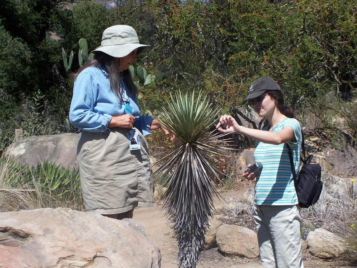 SBBG Community Free Day, Docent Tour, yucca