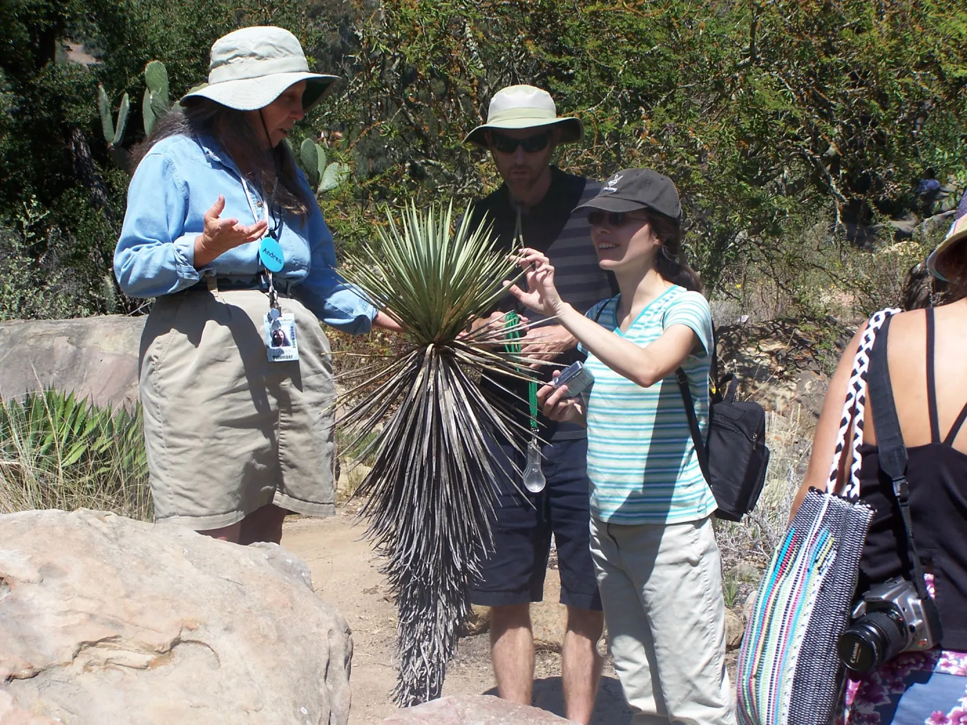 SBBG Community Free Day, Docent Tour, yucca