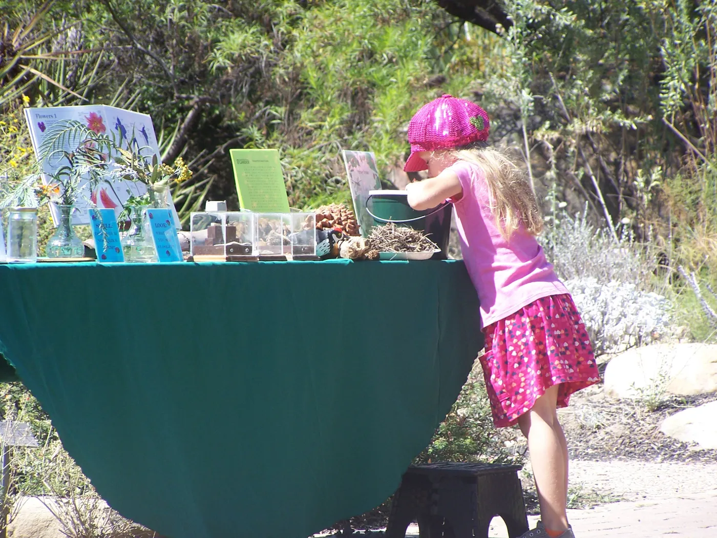SBBG Community Free Day, girl at the plant exploration demonstration table