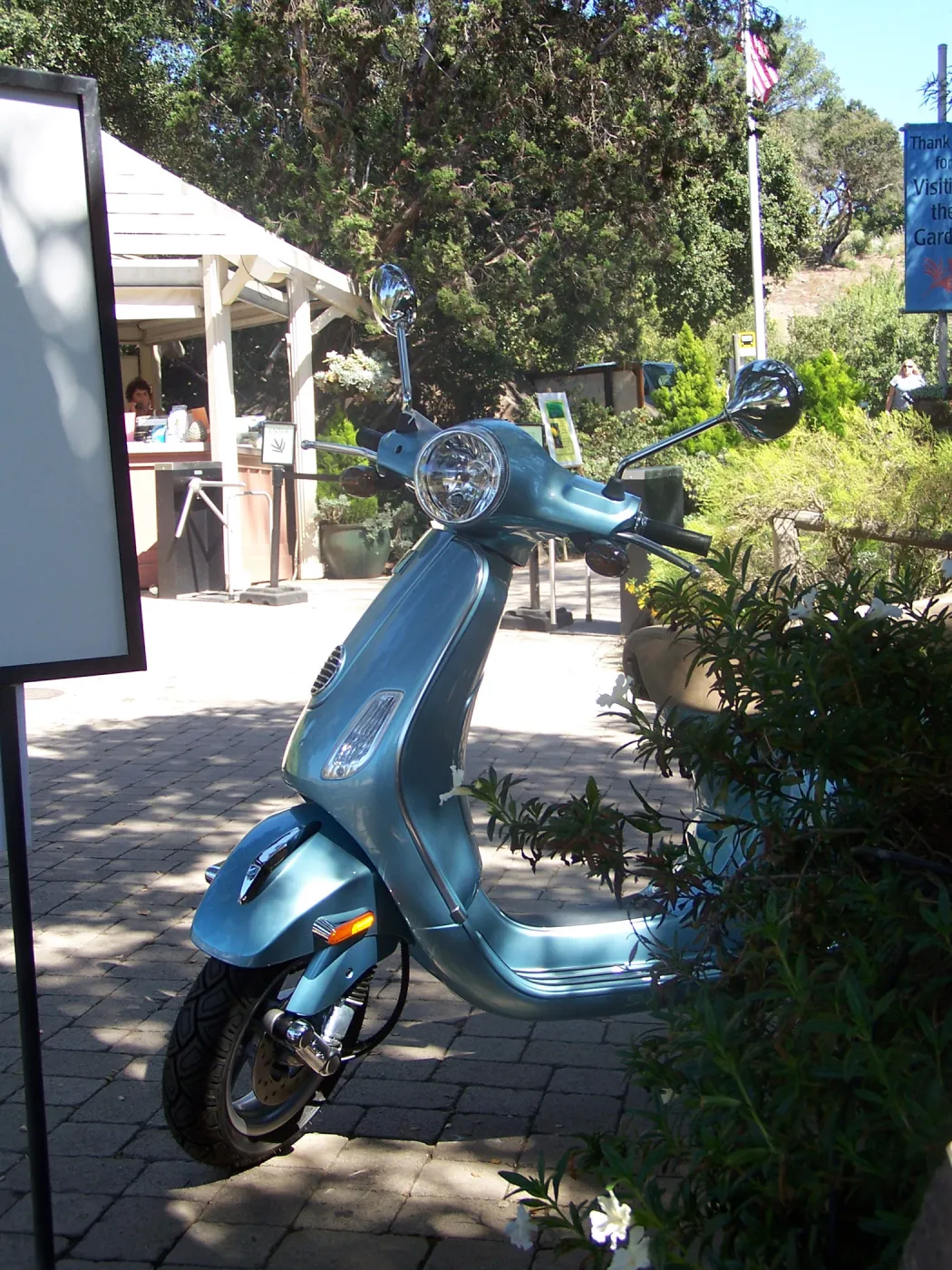SBBG Community Free Day, Vespa