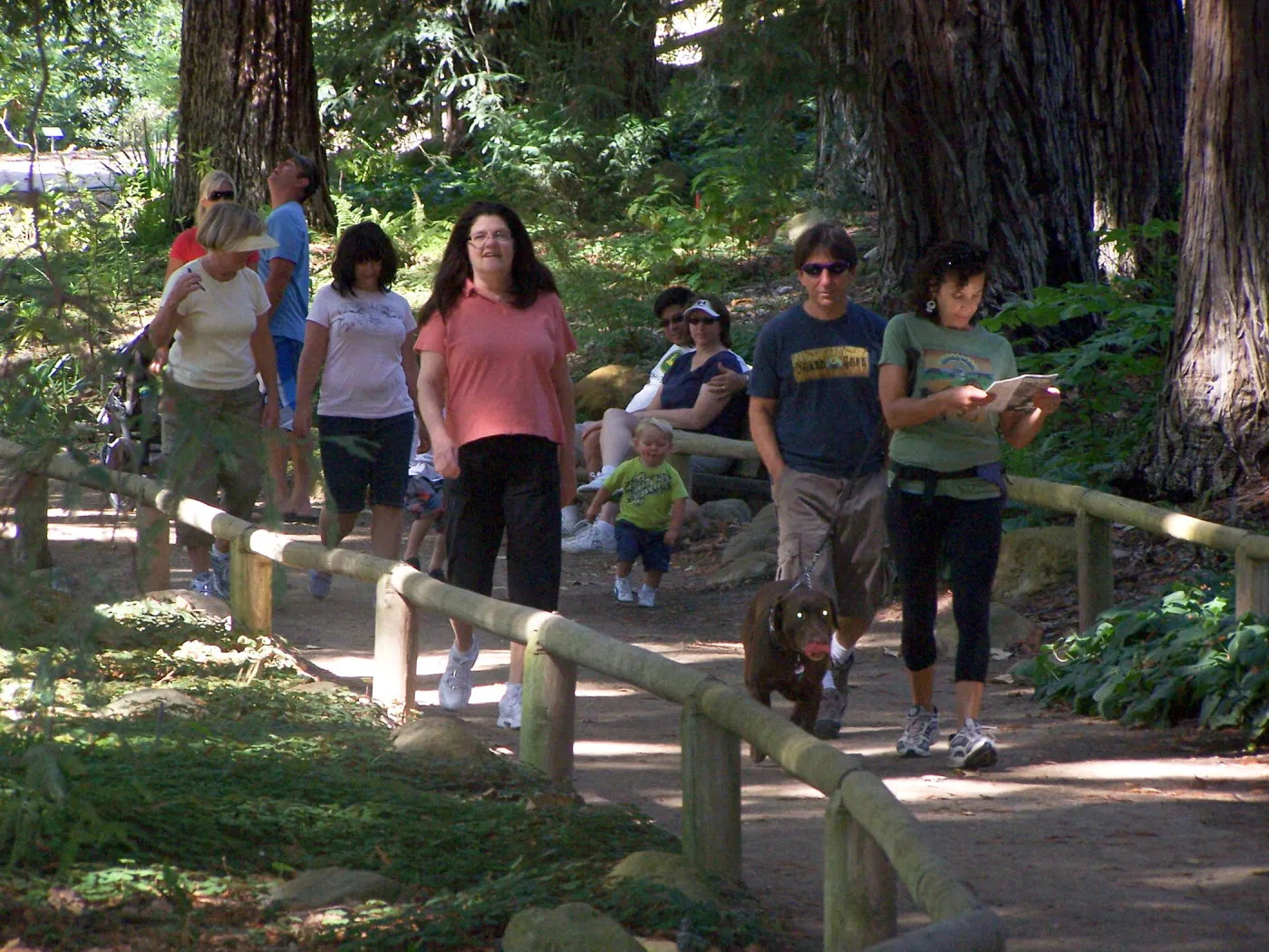 SBBG Community Free Day, Docent tour in the Redwood Section