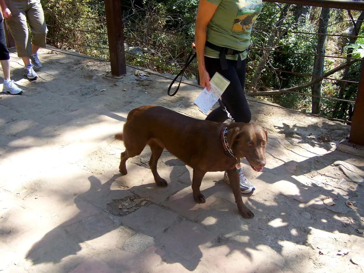 dog on leash, SBBG Community Free Day