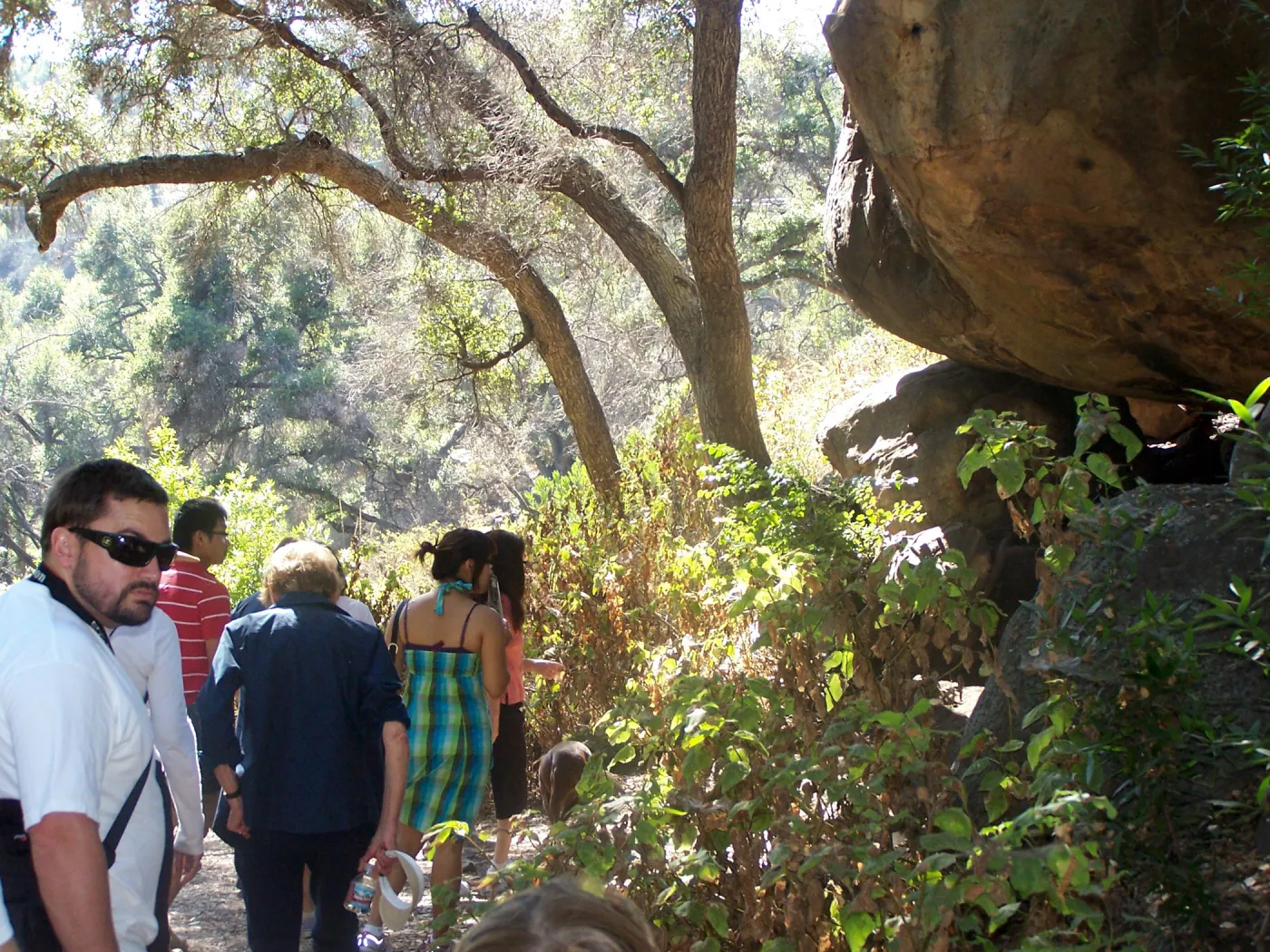 SBBG Community Free Day, Docent tour on the canyon Trail