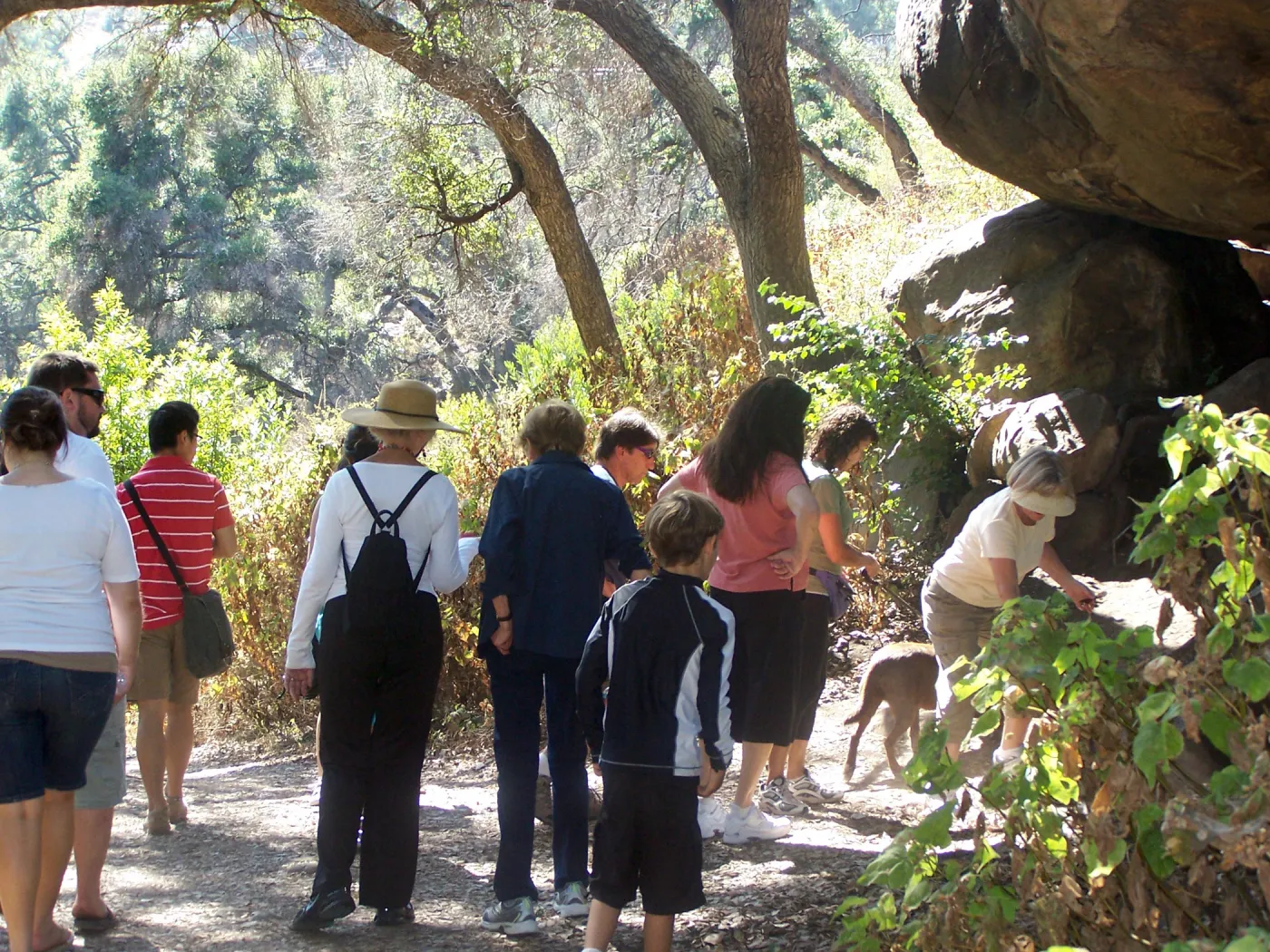 SBBG Community Free Day, Docent tour on the canyon Trail