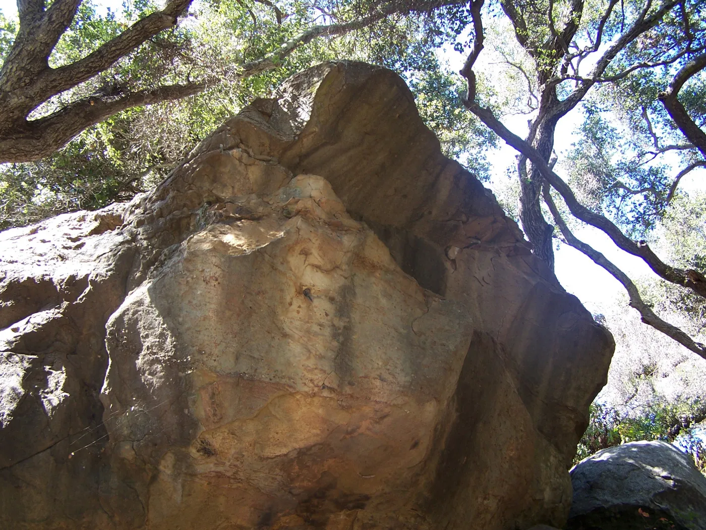 SBBG Community Free Day, boulder on the Canyon Trail