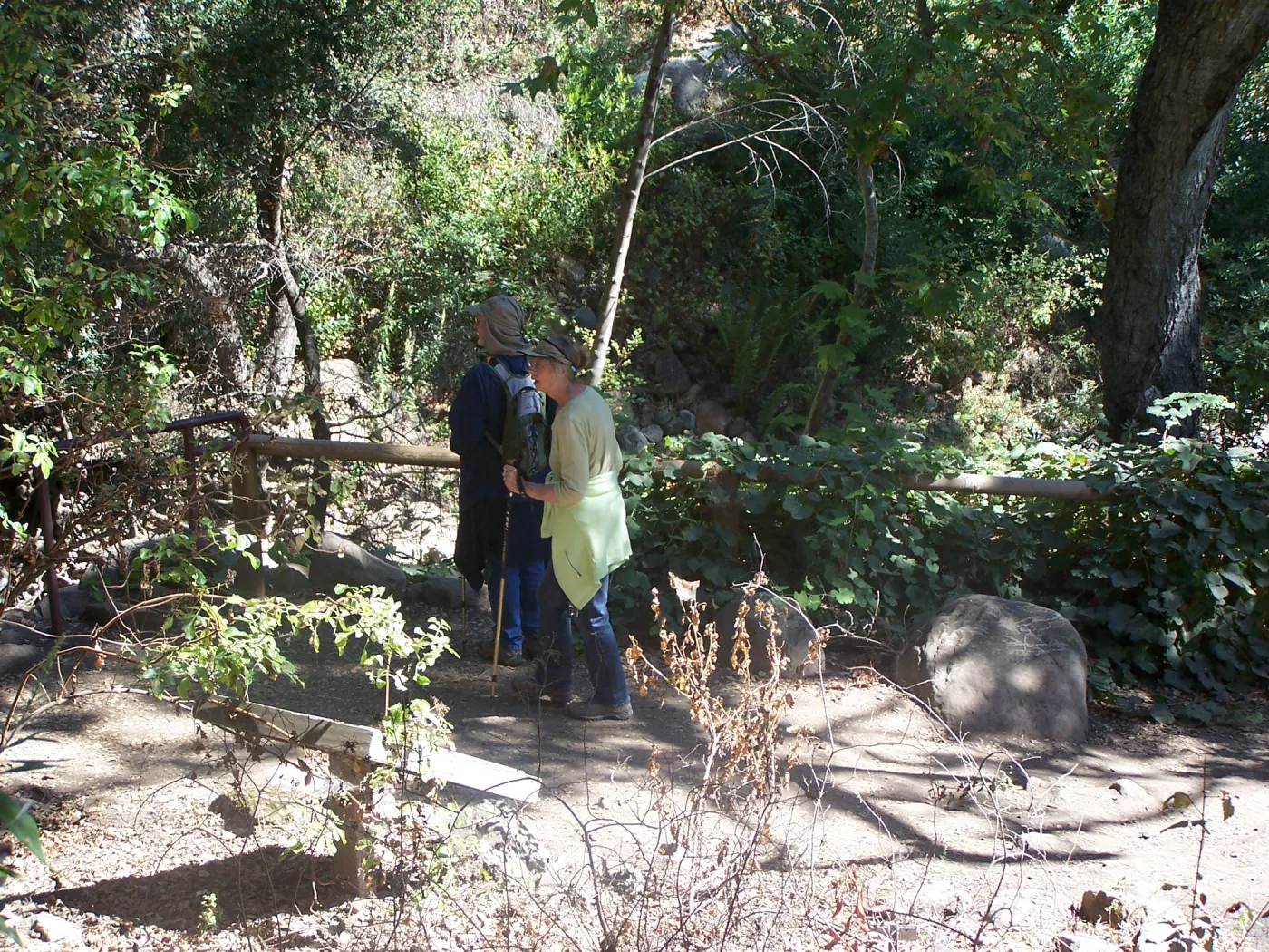 SBBG Community Free Day, visitors viewing the Mission Creek area below Mission dam