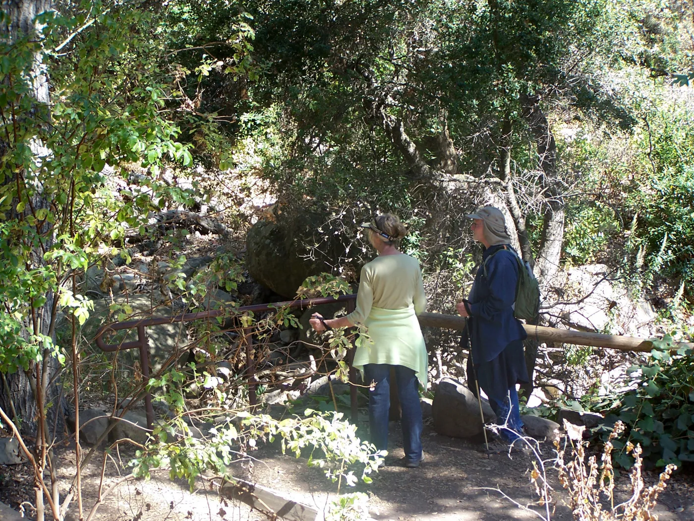 SBBG Community Free Day, visitors viewing the Mission Creek area below Mission dam