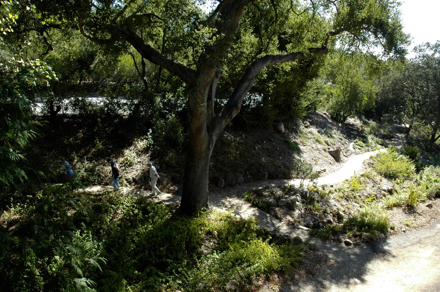 visitors in the Arroyo Section, SBBG Community Free Day, October 16 2011
