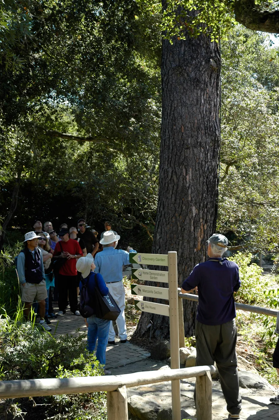 Docent Tour in the Arroyo Section, SBBG Community Free Day, October 16 2011