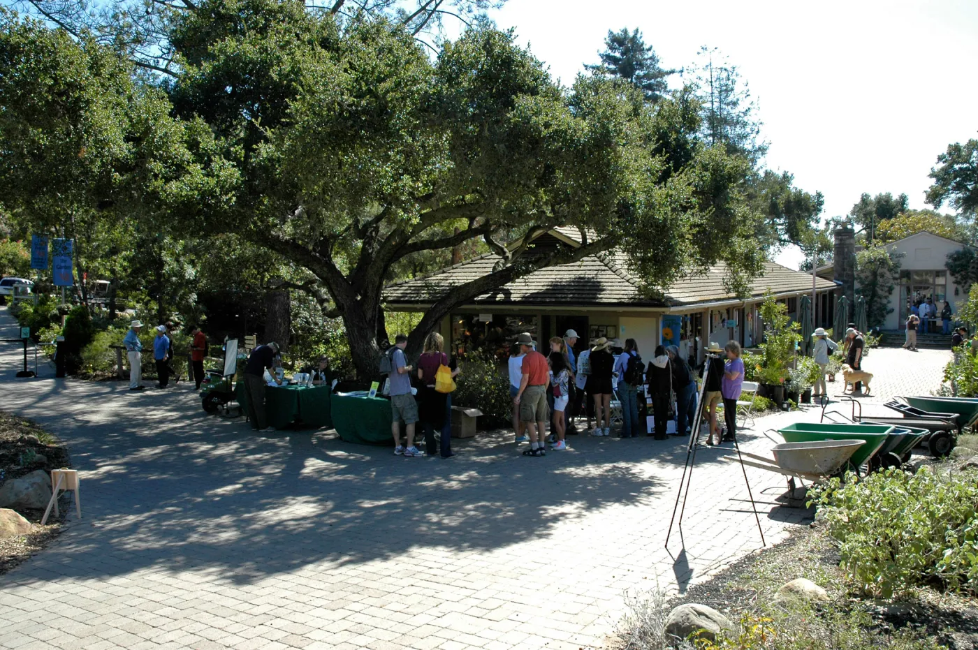 visitors at Garden Entrance, SBBG Community Free Day, October 16 2011