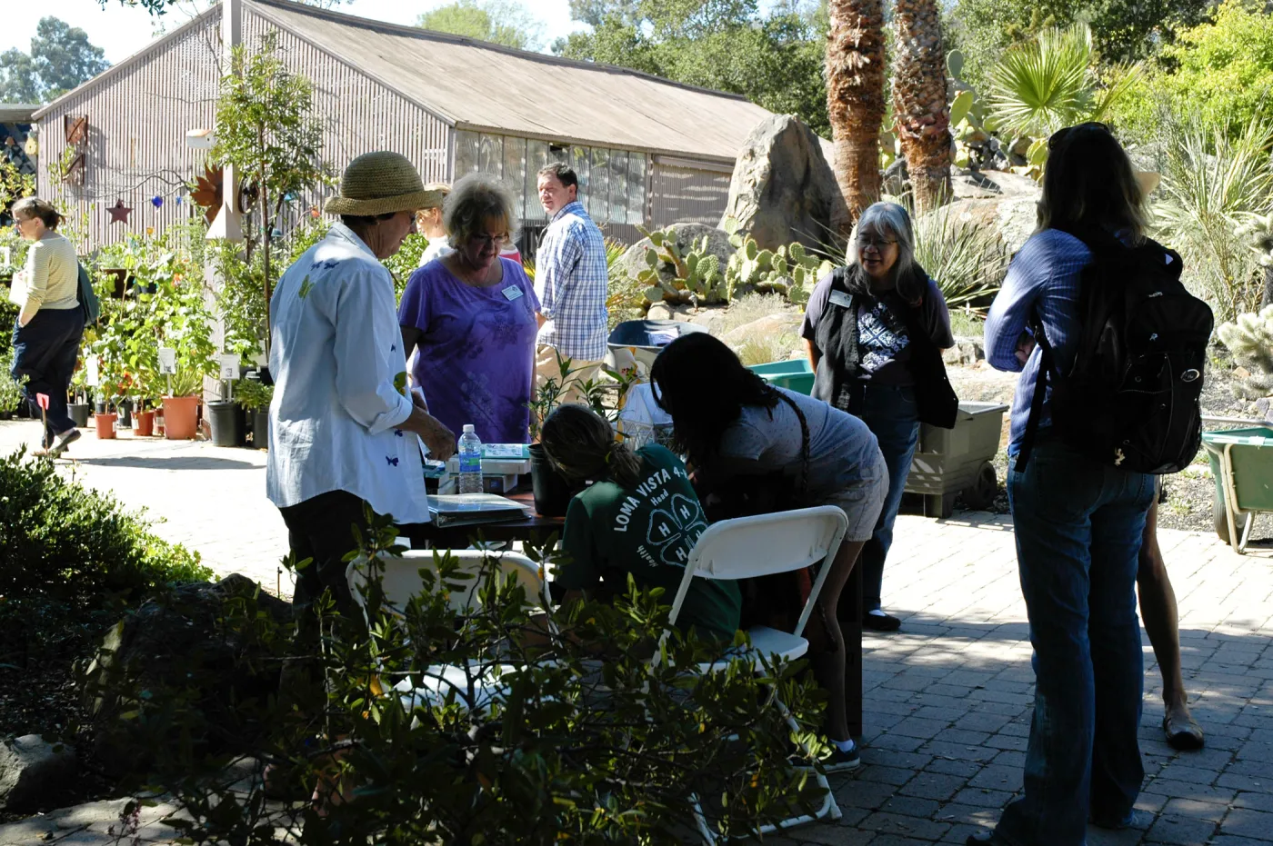 Master Gardener butterfly demonstration table, SBBG Community Free Day, October 16 2011