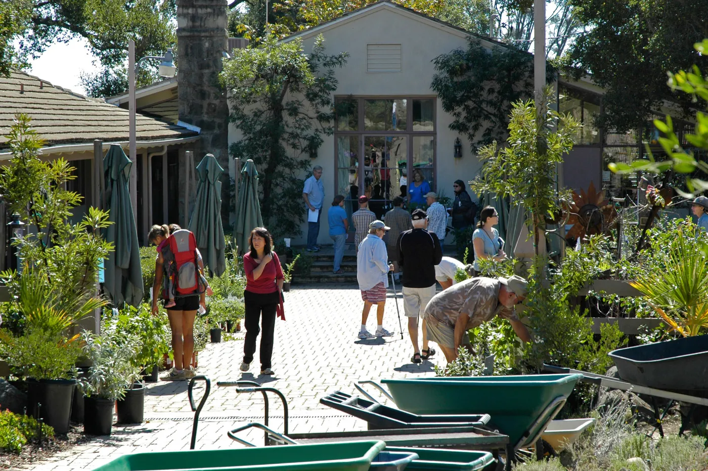 visitors in the Courtyard, Fall Plant Sale, Community Free Day, October 2011