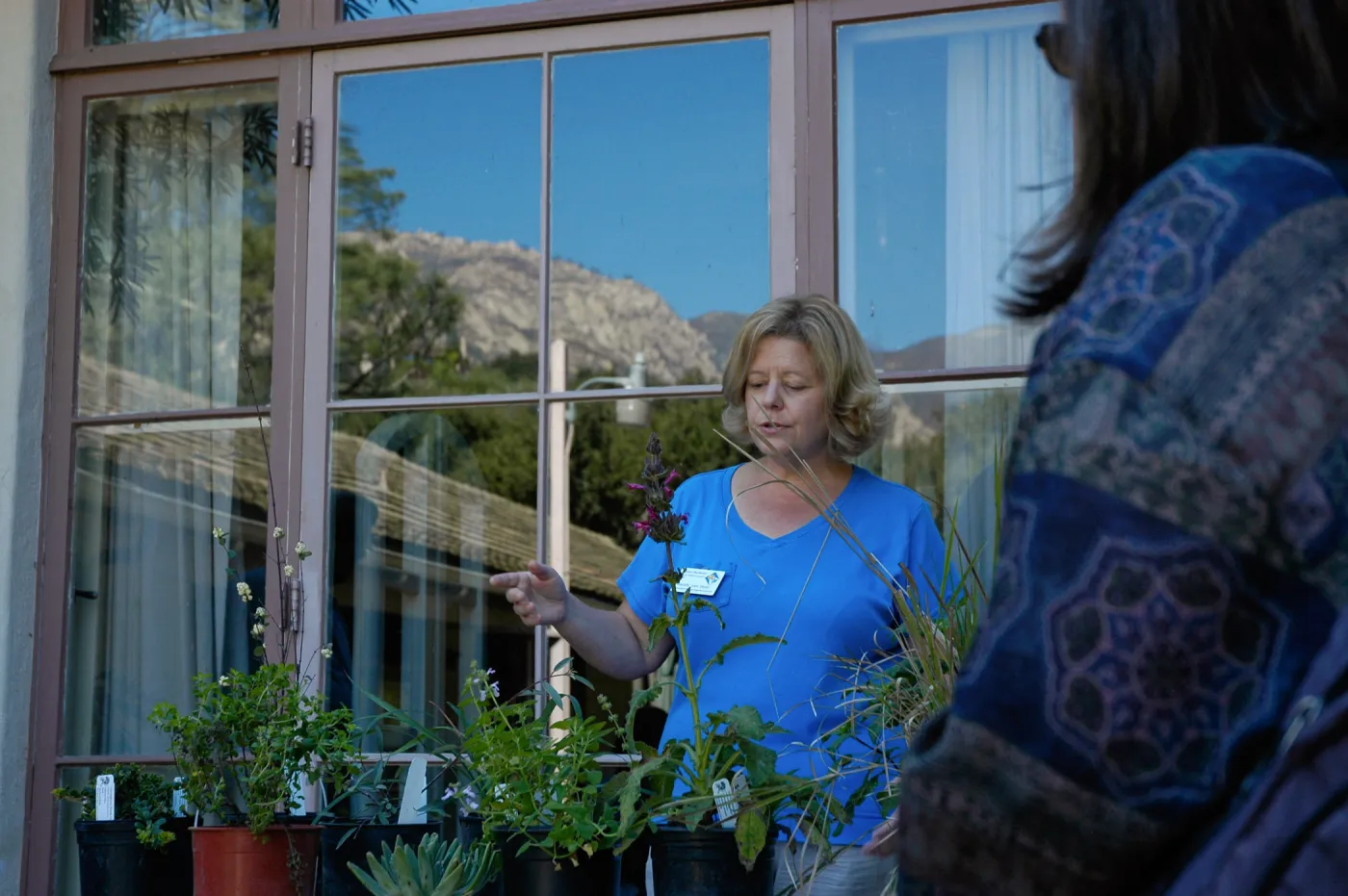 Master Gardener demonstration on the Library steps, Community Free Day, October 2011