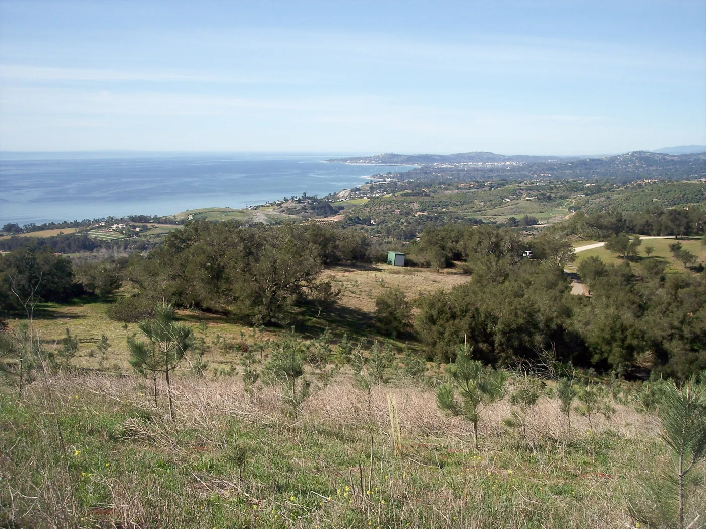 SBBG Torrey Pines research project, Hay Hill