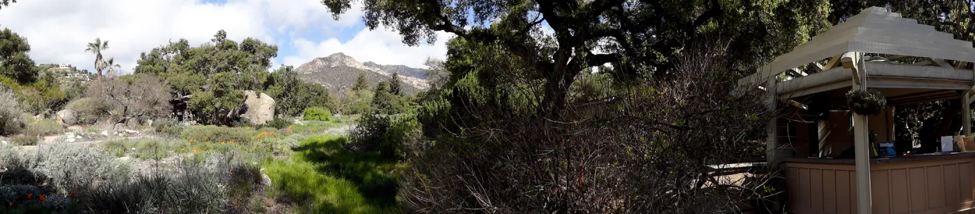 Kiosk and Meadow panorama, view to La Cumbre Peak, Santa Barbara Botanic Garden