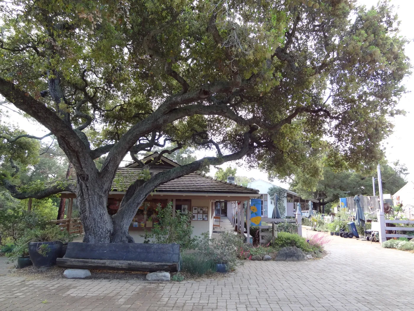 Gift Shop, Santa Barbara Botanic Garden