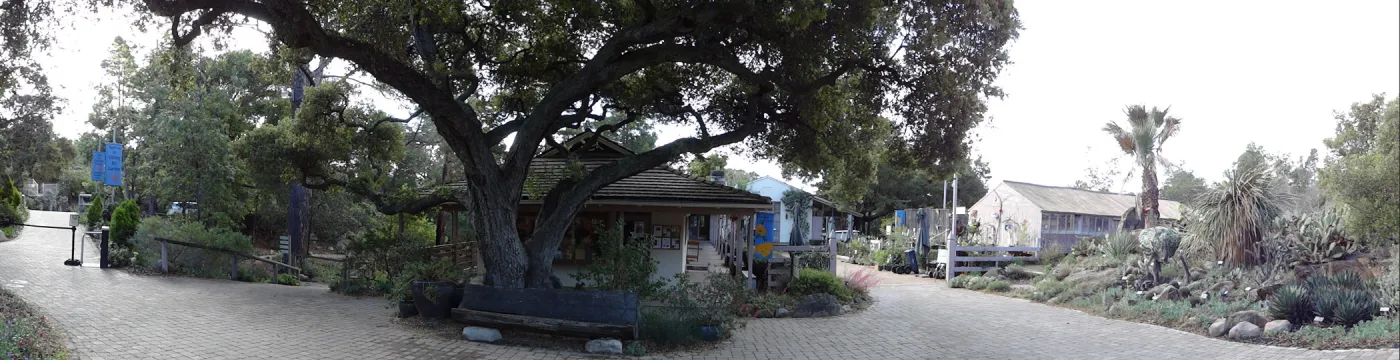 Gift Shop panorama, Santa Barbara Botanic Garden