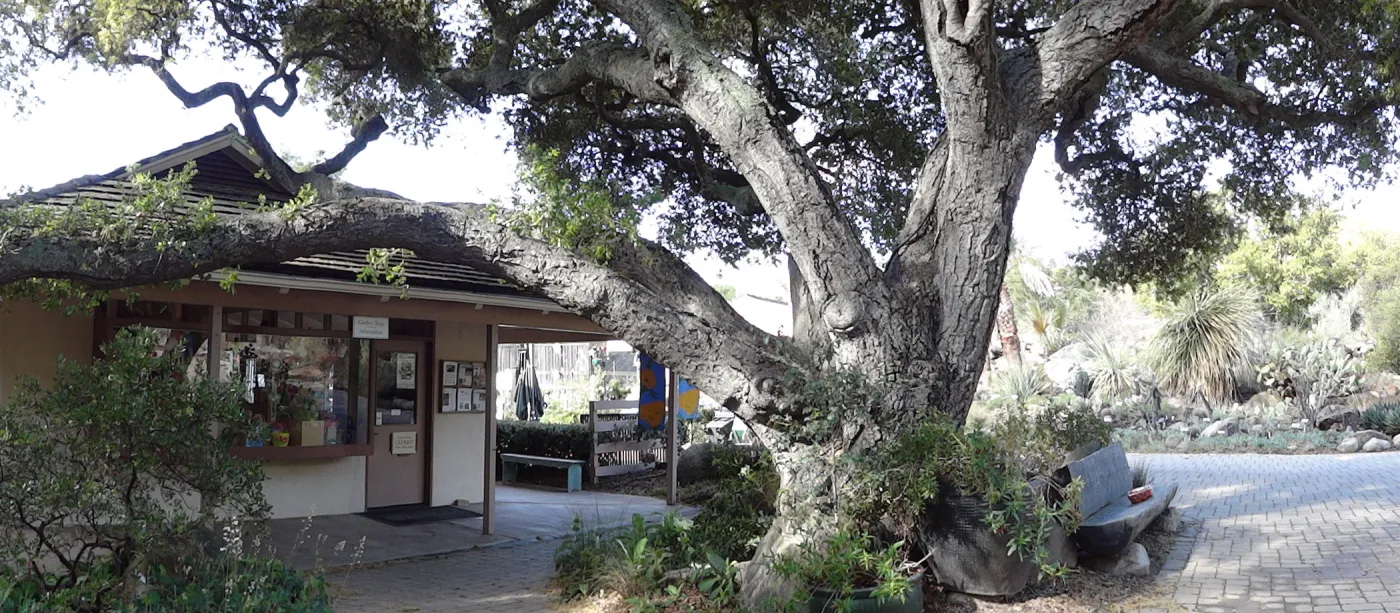 Gift Shop, Santa Barbara Botanic Garden