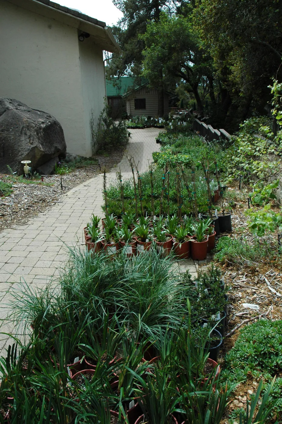 Spring Plant Sale 2012